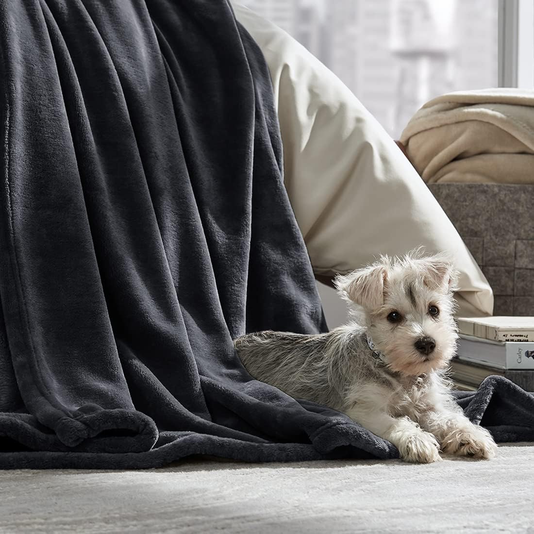 Throw Blanket,Flannel Fleece Soft Luxury Warm Bed Blanket All Season Plush Lightweight Blankets for Sofa,Machine Washable Blankets Fleeces (Dark Grey, Twin(60''80'')) : Home & Kitchen