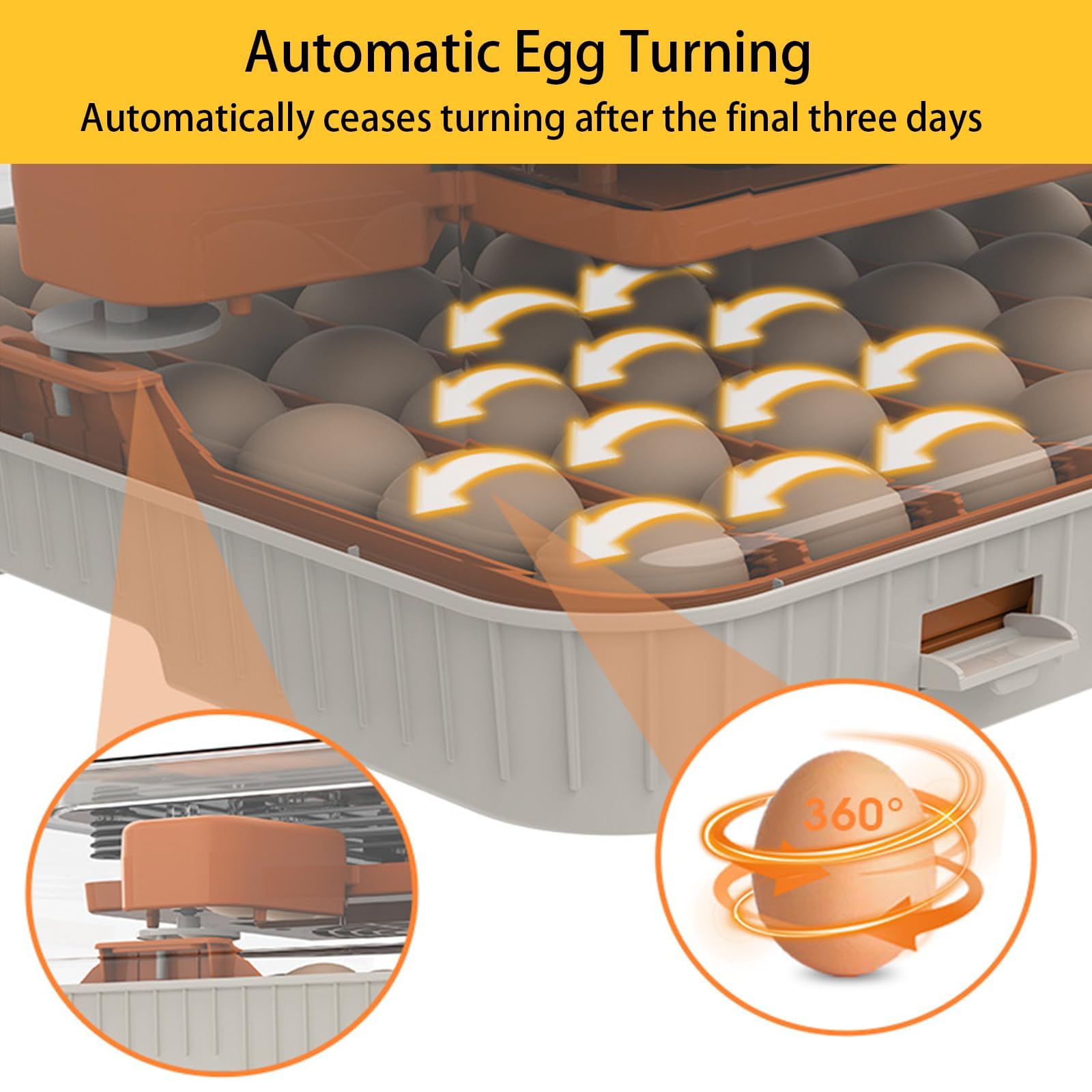 Incubadora de huevos para incubar huevos, volteador automático de huevos y control de humedad, ajuste de temperatura, para codornices de pollo, pato, escuela de granja