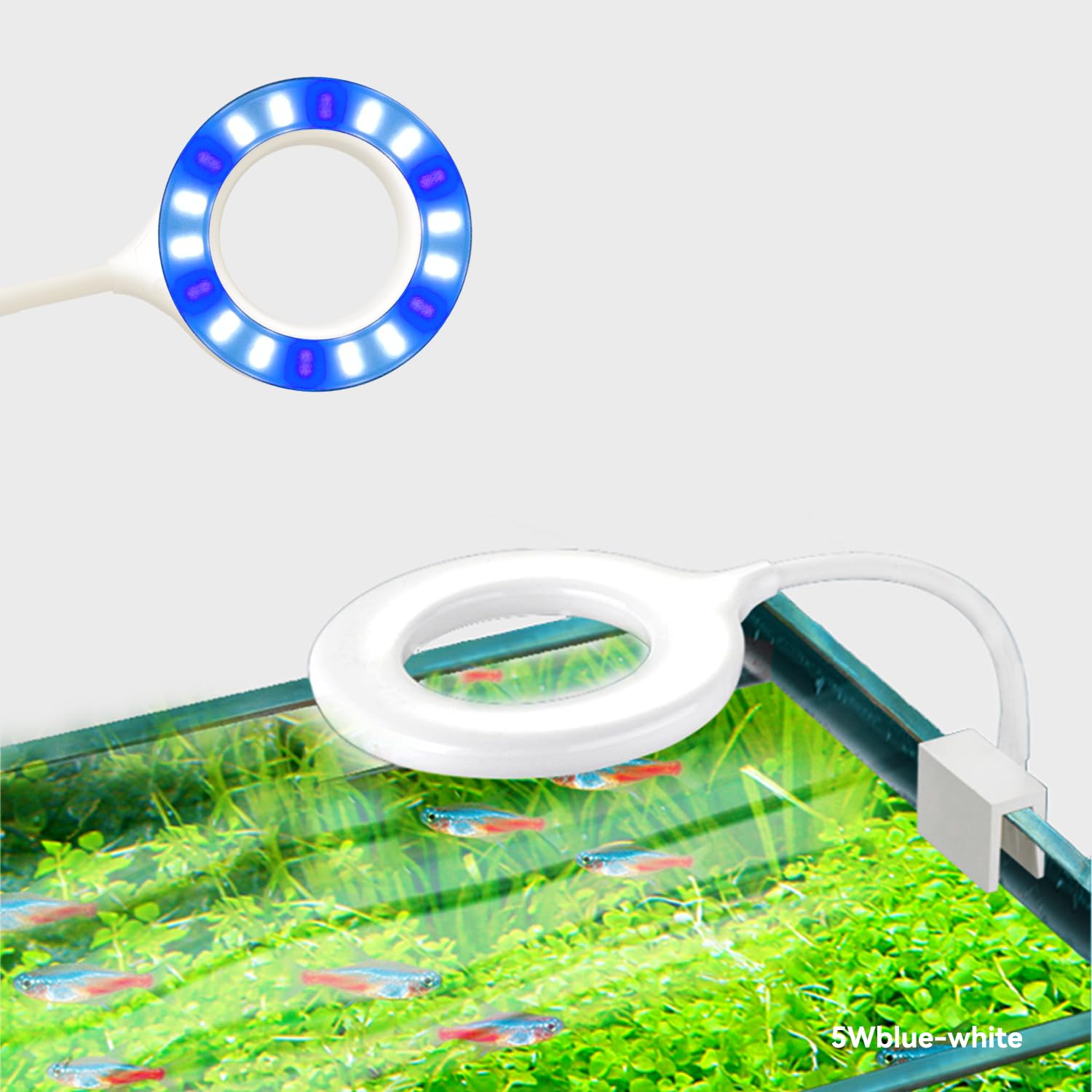 5-8 Gallon Fish Tank Clip On Aquarium Light with White Blue Red LEDs Small Aquarium Light, Full Spectrum Fish Tank Light with USB Port and 360 Degrees Flexible Rotate