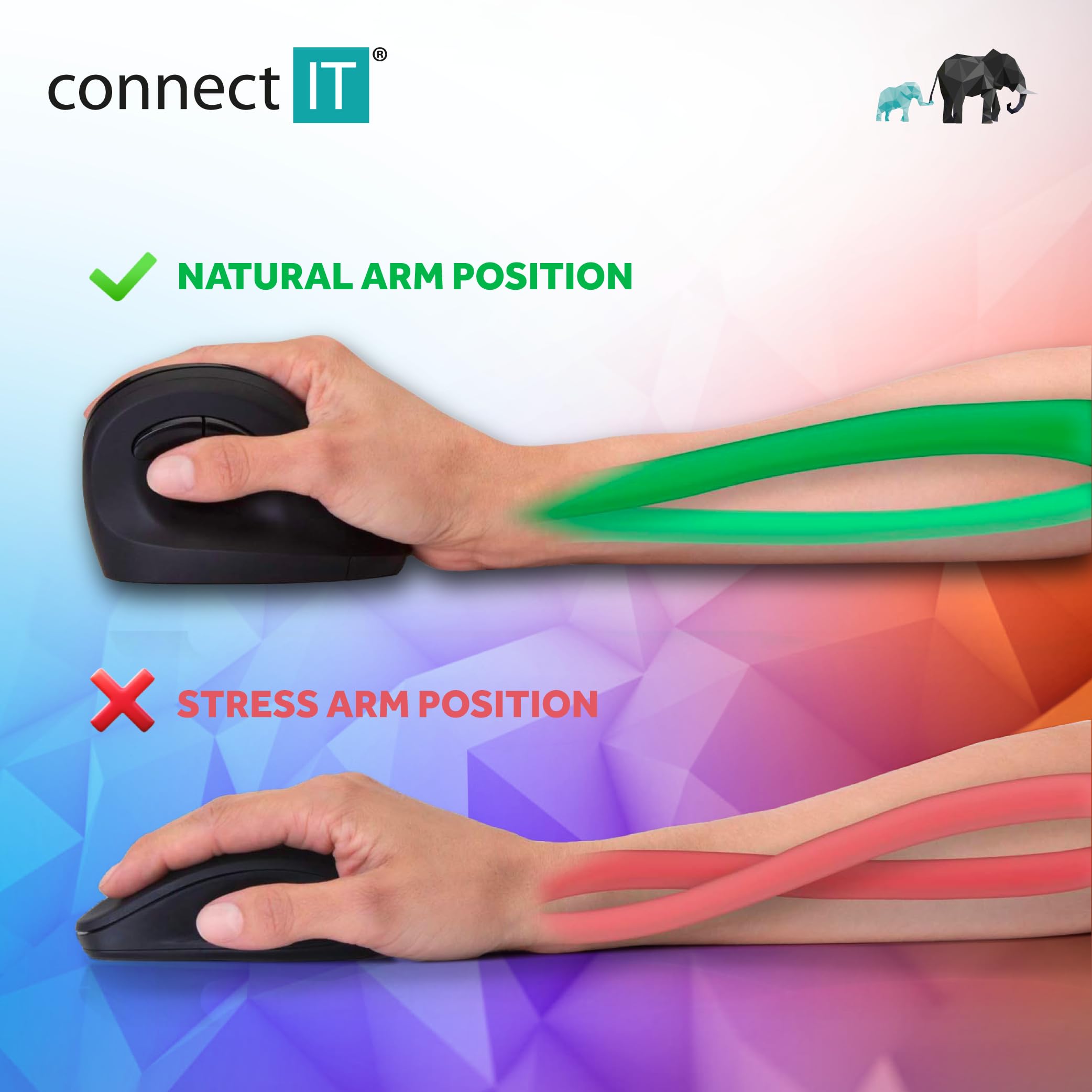 Connect It for Health Souris Ergonomique Verticale (+ 1 Pile AA Gratuite), sans Fil, Noir