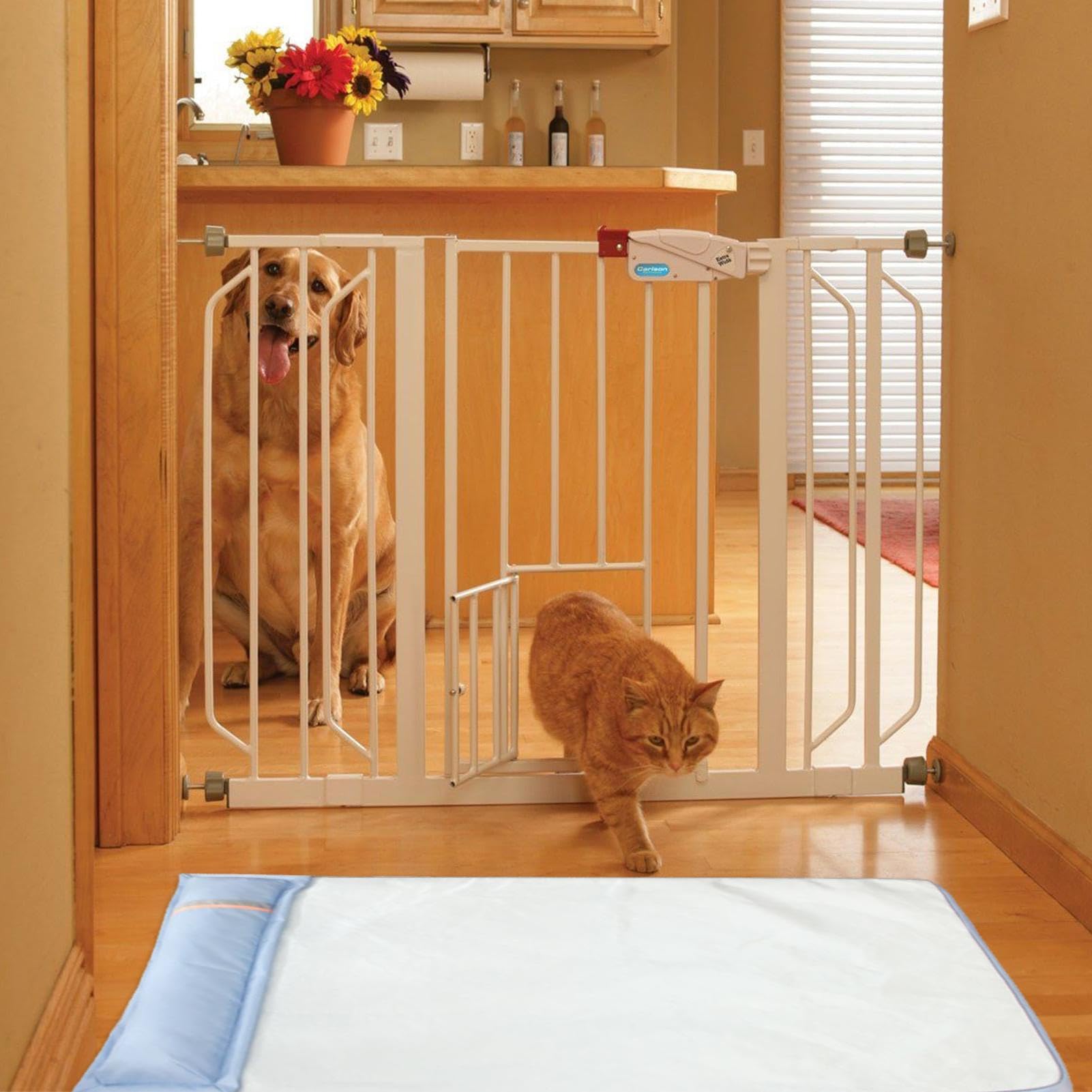 Tappetino refrigerante per cani, letto rinfrescante per animali domestici con cuscino, in tessuto Oxford traspirante, antiscivolo e resistente all'usura, per l'estate, per interni ed esterni, per cani