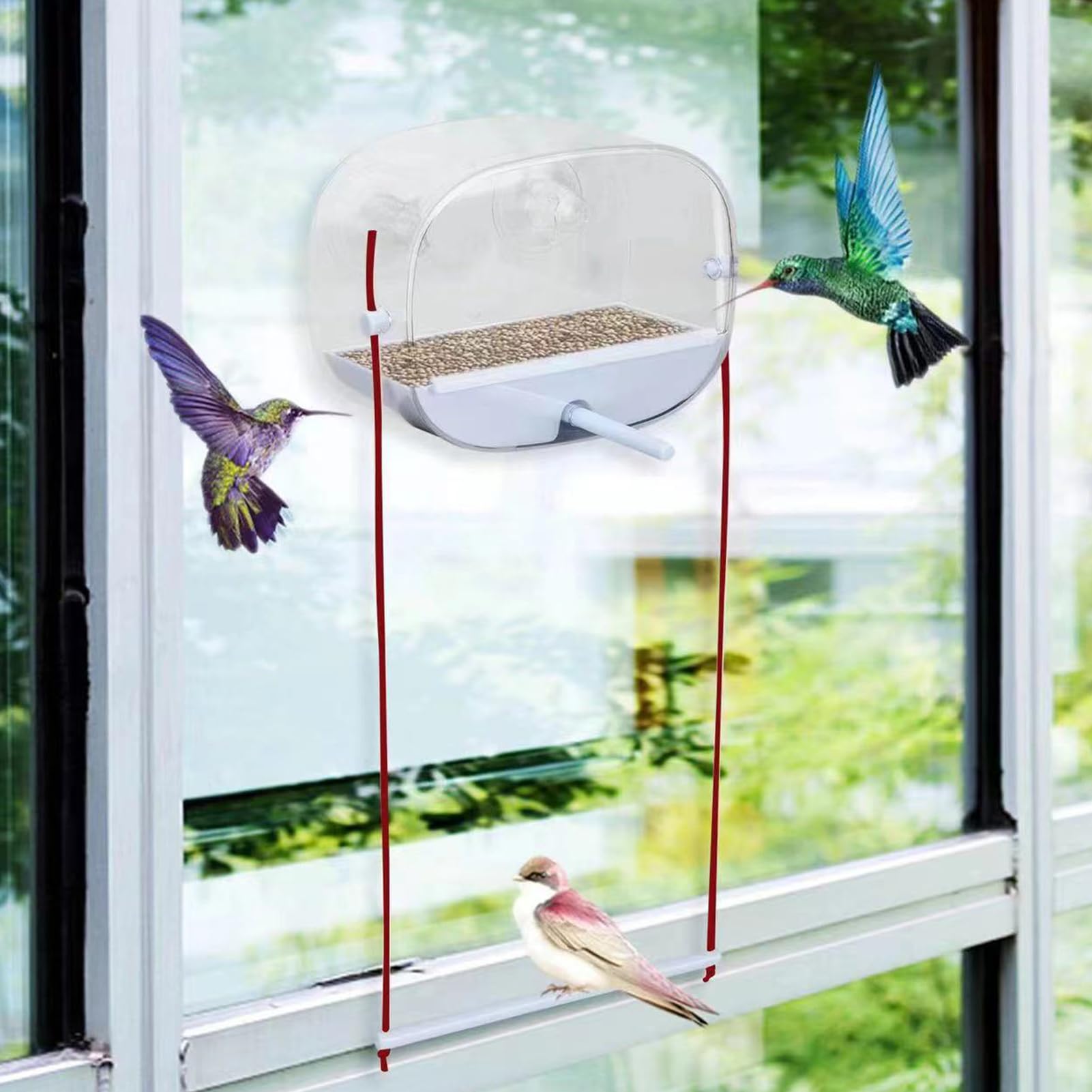Window Sill Bird Feeders JCS Wildlife Diner 9 Window Bird Feeder