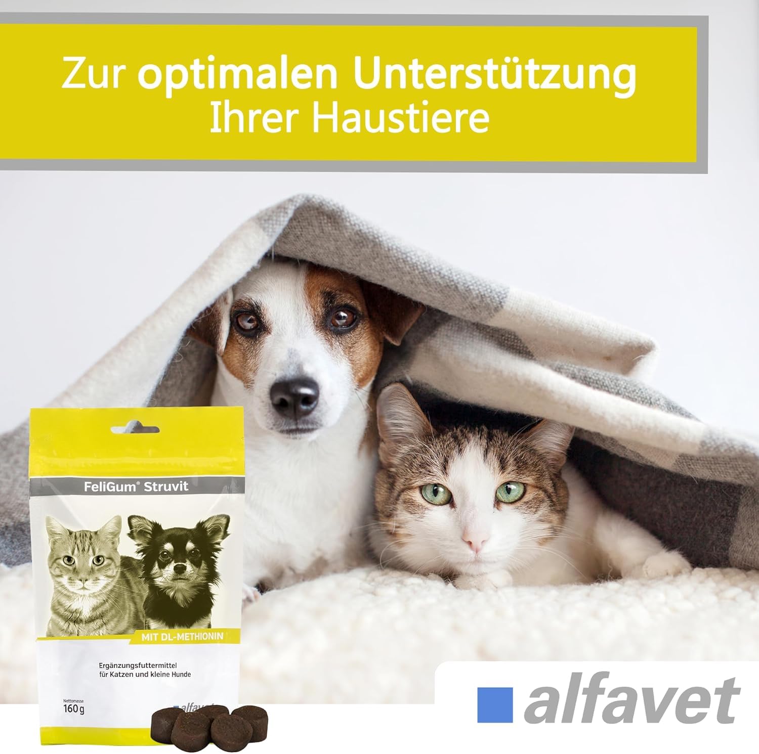 Alfavet FeliGum Struvit 3x160g Hund Katze unterst. Auflösung von Struvitsteinen