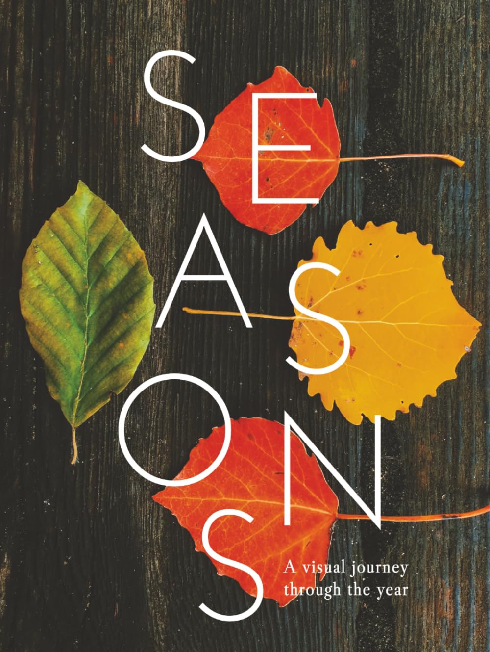 SEASONS: A visual journey through the year (THE COFFEE TABLE BOOKS)