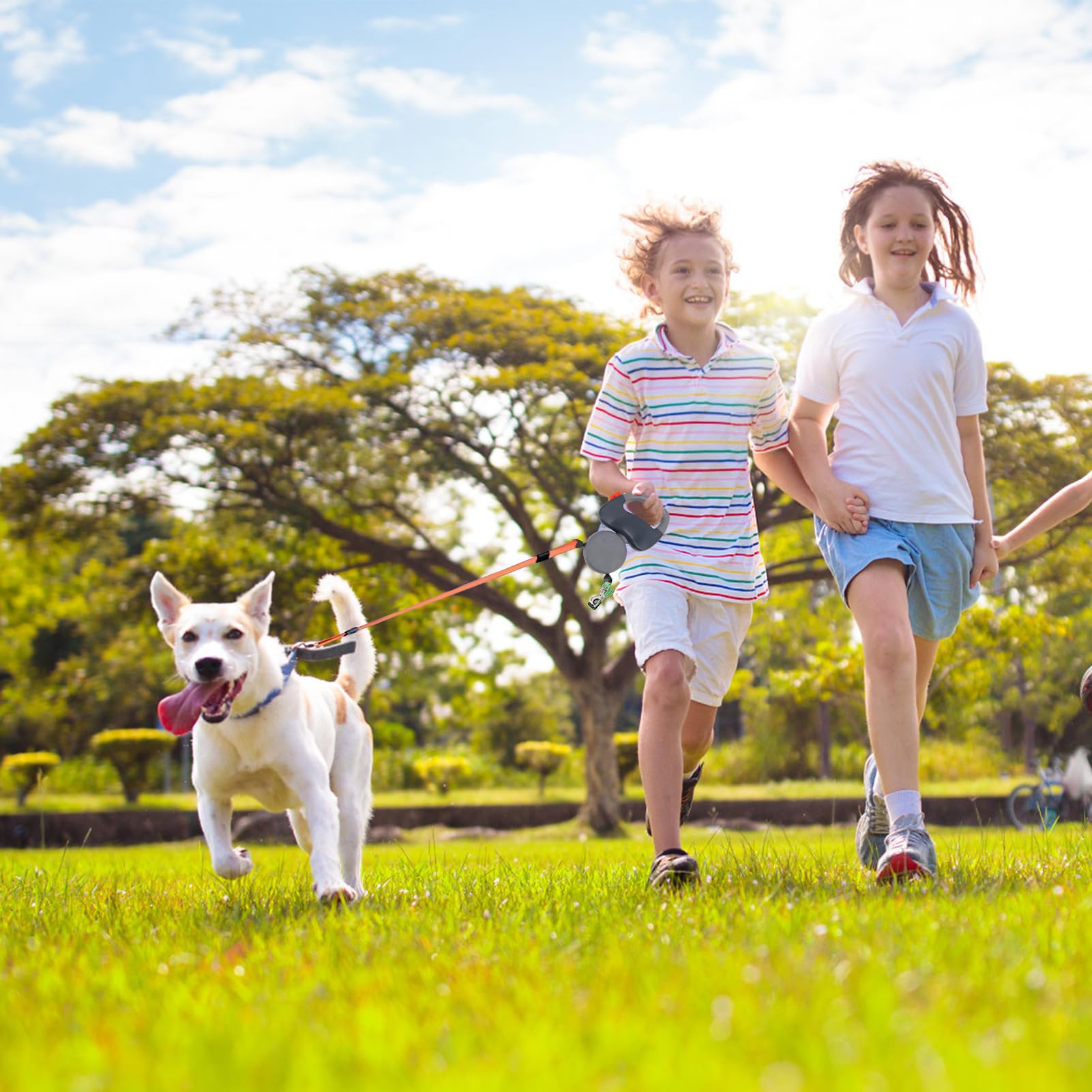 Guinzaglio Retrattile Per 2 Cani Lyrlody - 3 Metri, Corda Riflettente, Grigio - Foto 11