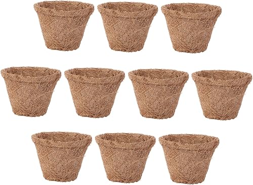 Miniatura 1 de NOLITOY 20 piezas de palmera de coco para cuarto de bebé, macetas de fibra de coco, bandeja de plantas de plantas, maceta de turba biodegradable,