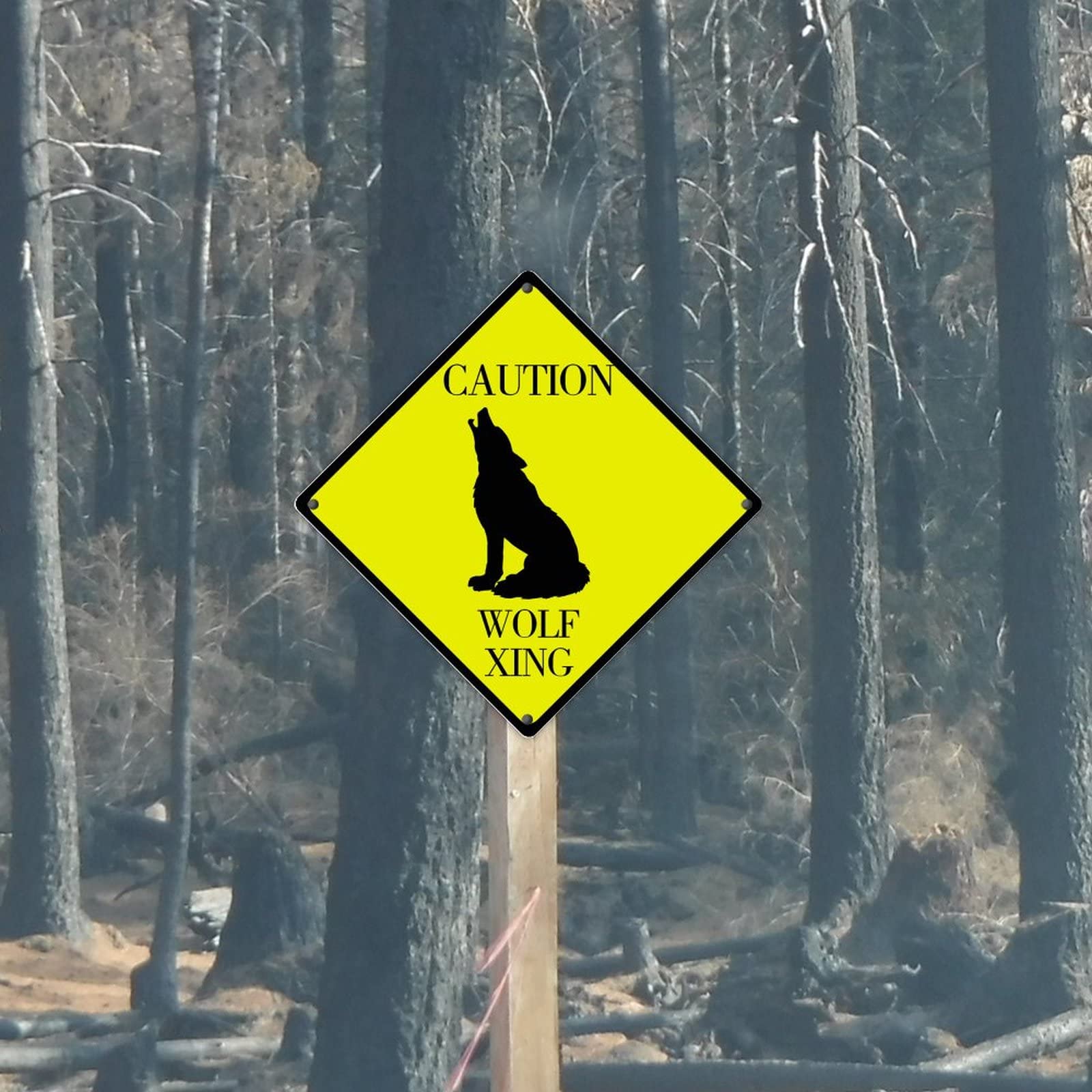 Ornements De Jardin En Métal Pour Clôtures, Décorations Extérieures