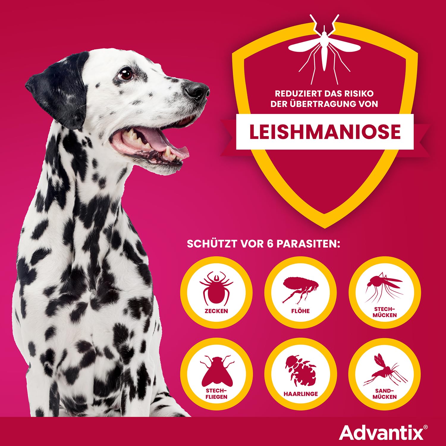 Advantix Spot-on für Hunde 10-25 kg gegen Zecken, Flöhe, Mücken, 8 Pipetten | Wehrt Zecken, Mücken & Stechfliegen ab, bevor sie stechen. Tötet Flöhe schnell ab. Idealer Reiseschutz für deinen Hund.
