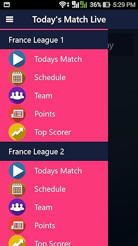 France FootBall League