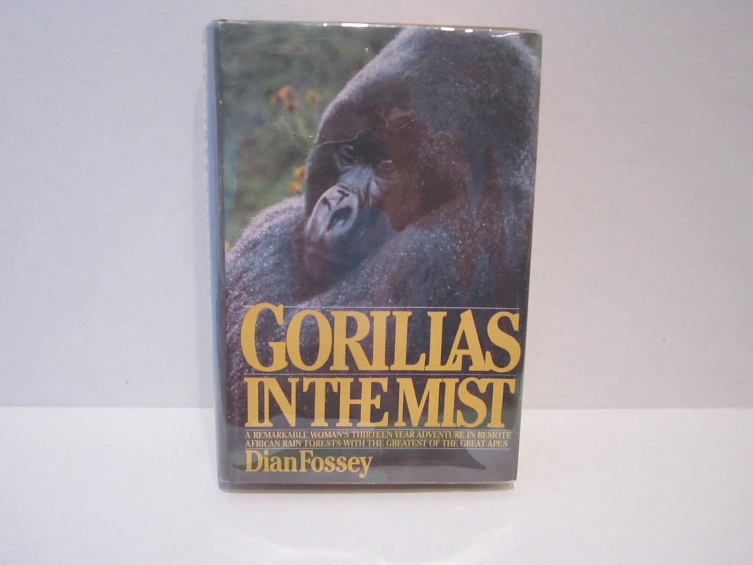 Gorillas In The Mist The Story Of Dian Fossey Gorillas in the Mist: Fossey, Dian: 9780395282175: Amazon.com: Books