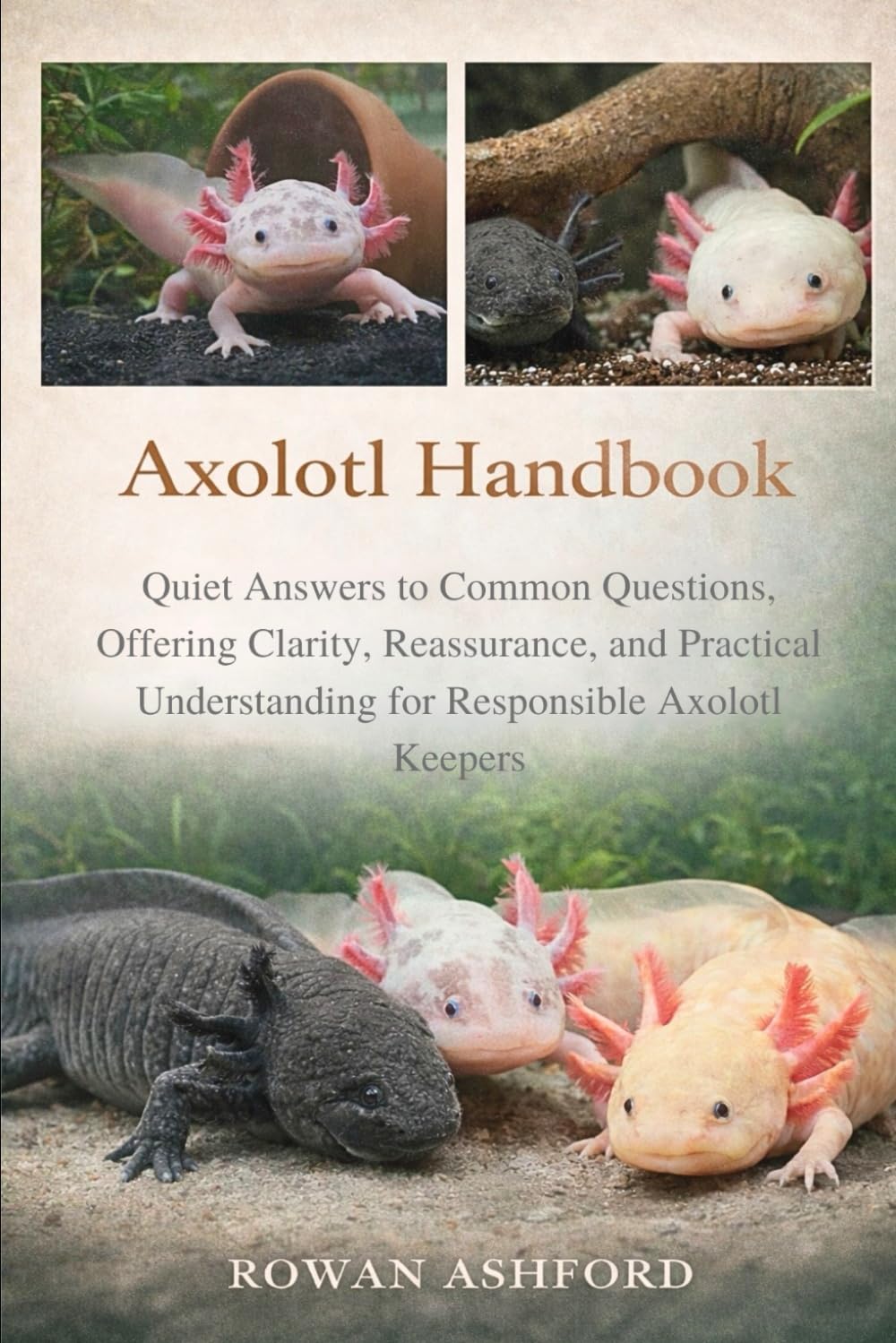 AXOLOTL HANDBOOK: Quiet Answers to Common Questions, Offering Clarity, Reassurance, and Practical Understanding for Responsible Axolotl Keepers