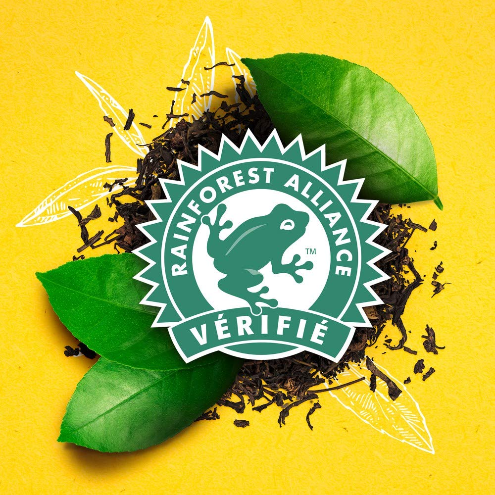 Lipton, Thé Noir, Goût Fruits Rouges, Capsules Compatibles Nespresso, Vitalité, Ingrédients d'Origine 100% Naturelle, 10 Capsules (Lot de 10)
