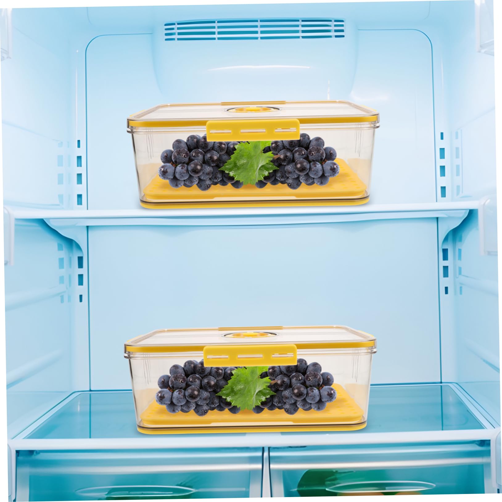 Caja de Almacenamiento para Pan Pet con Tapa Hermética y Temporizador
