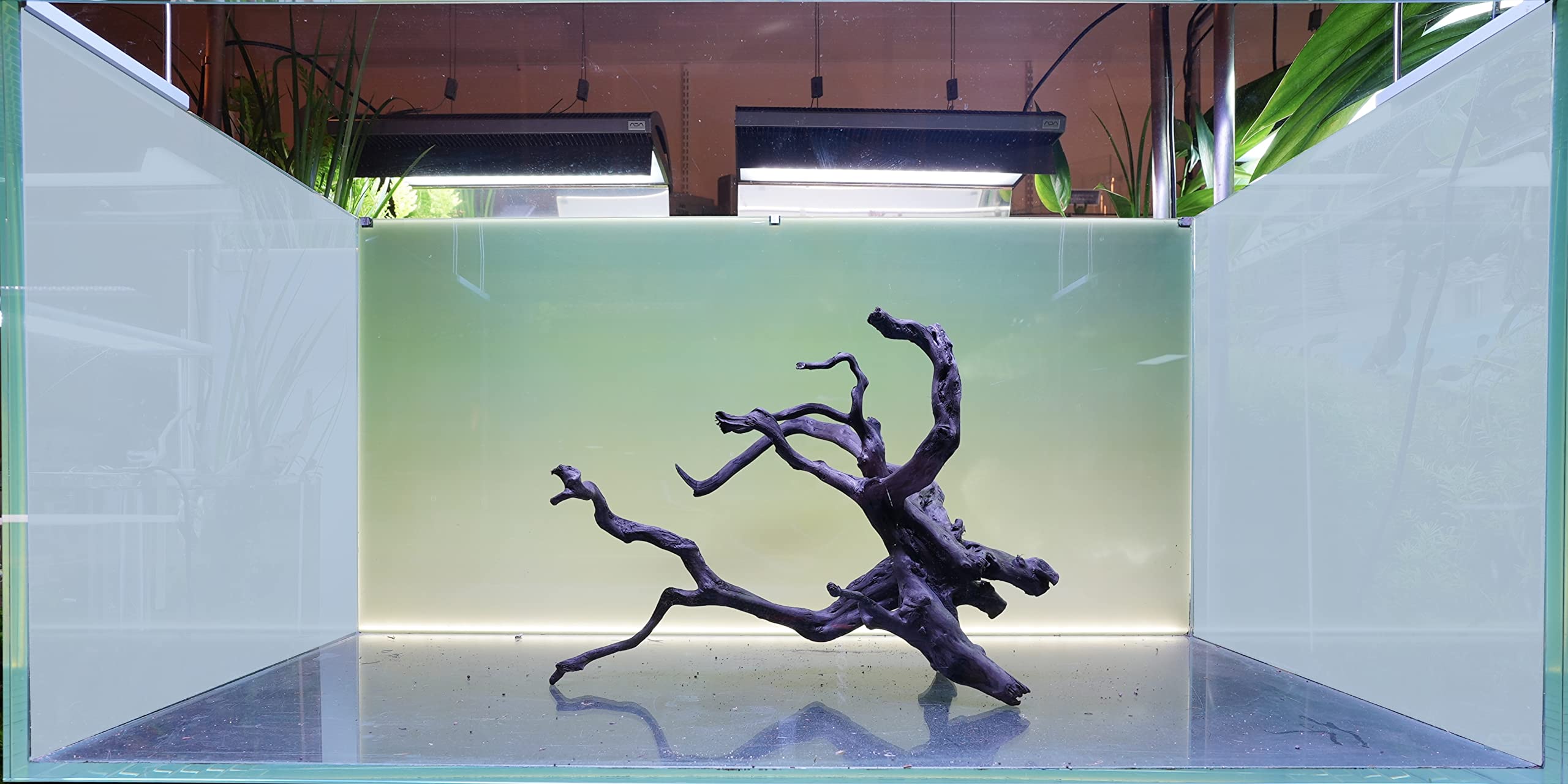 Amazon | 90cm水槽向け流木1本（黒色）【AQUASHOP wasabi  