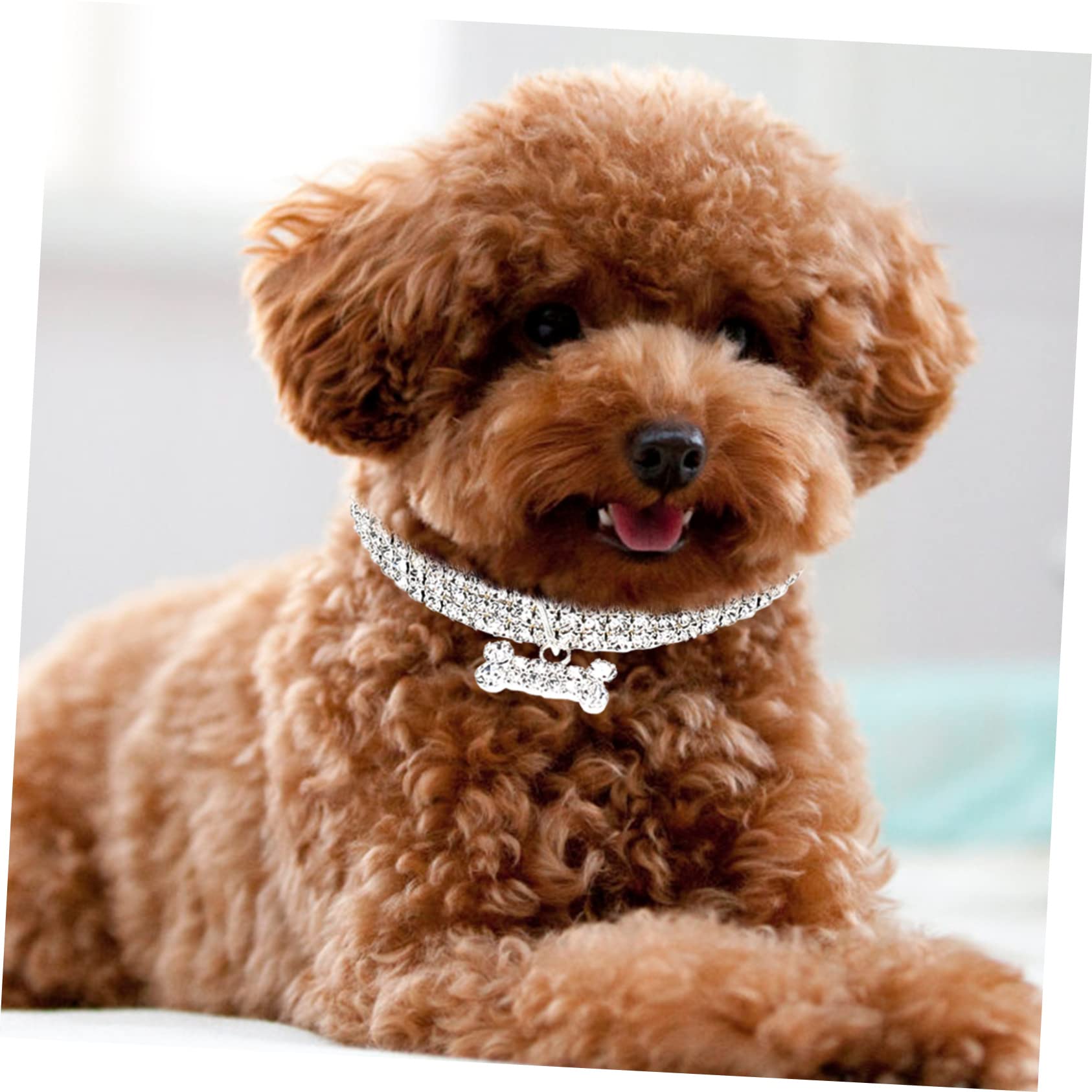 BESPORTBLE 9pezzi Collane Decorative per Gatti e Cani di Collari con Strass Accessori Eleganti e Resistenti all Usura per Pet Facili da Indossare e Rimuovere per Feste e Occasioni Speciali