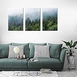 Large Green Forest Wall Art Tropical Virgin Forest Mountain Bird Contemporary Canvas Pictures Modern Artwork Framed for Bathroom Bedroom Nursery Living Room Home Office Kitchen Wall Decor 40 x 60cm 3 Pieces