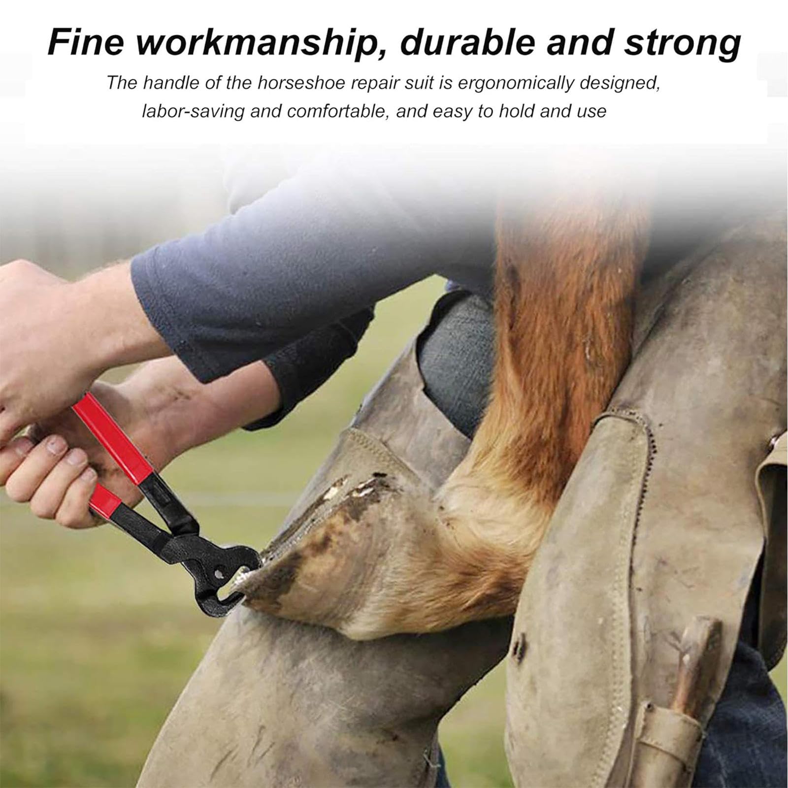 3 Szt. Zestaw Narzędzi Horse FarrHorse Farrier, Szczypce Do Podków, Narzędzie Do Przycinania Podków, Odpowiednie Dla Koni/osłów, Zestaw Tarników Do Kopyt Narzędzia Kowalskie