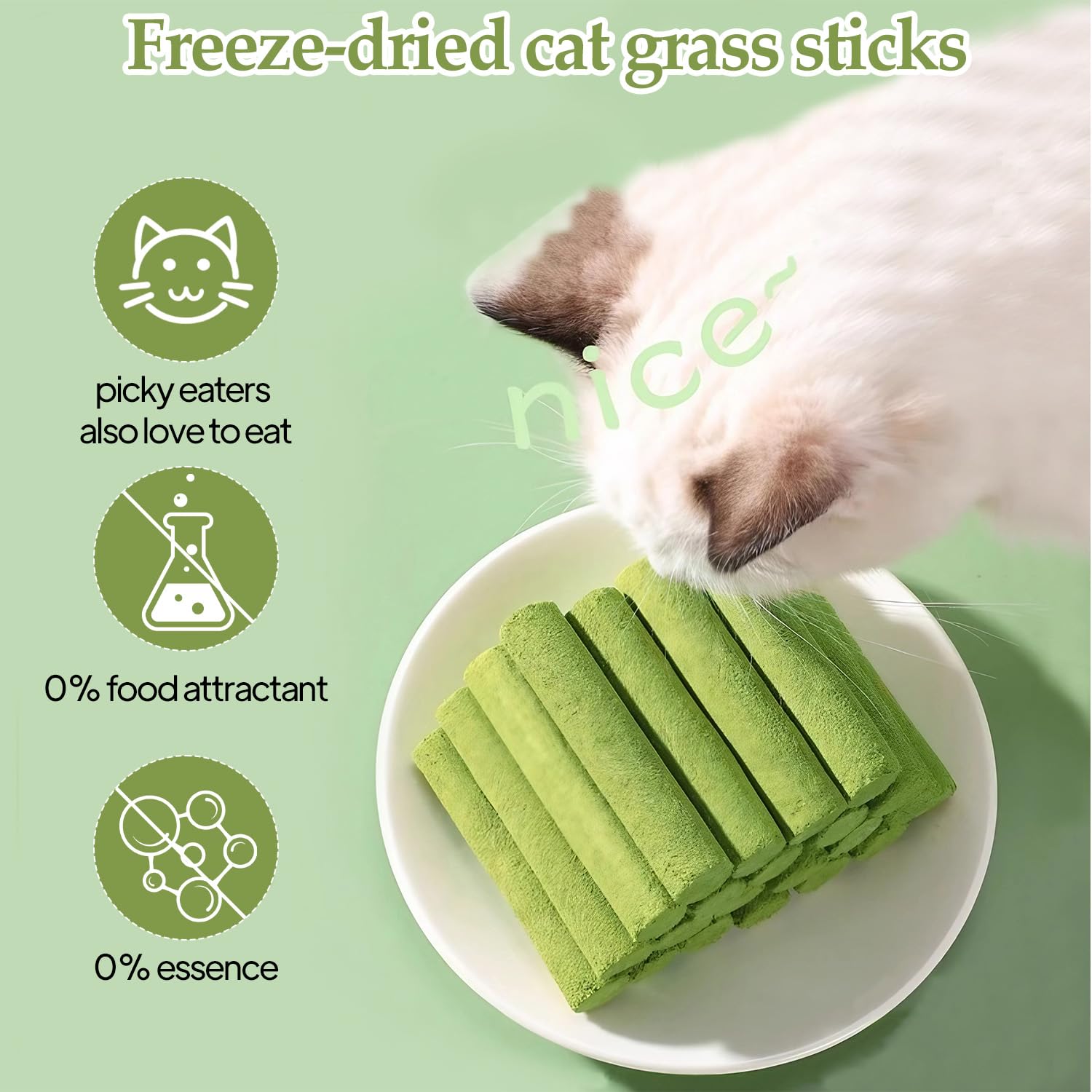 View 7