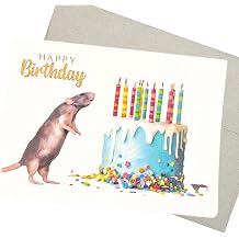 Groomers Margins Mouse Birthday Card with Envelope 7X5 Inch, 1 Card, Blank Inside Happy Birthday Card for owners of mice - 219