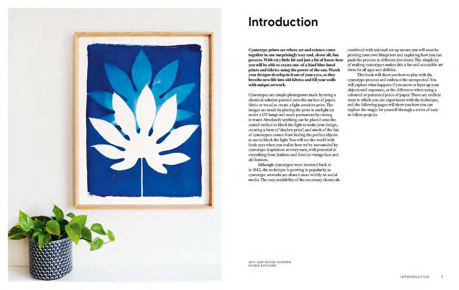 Cyanotype: Learn in a Weekend