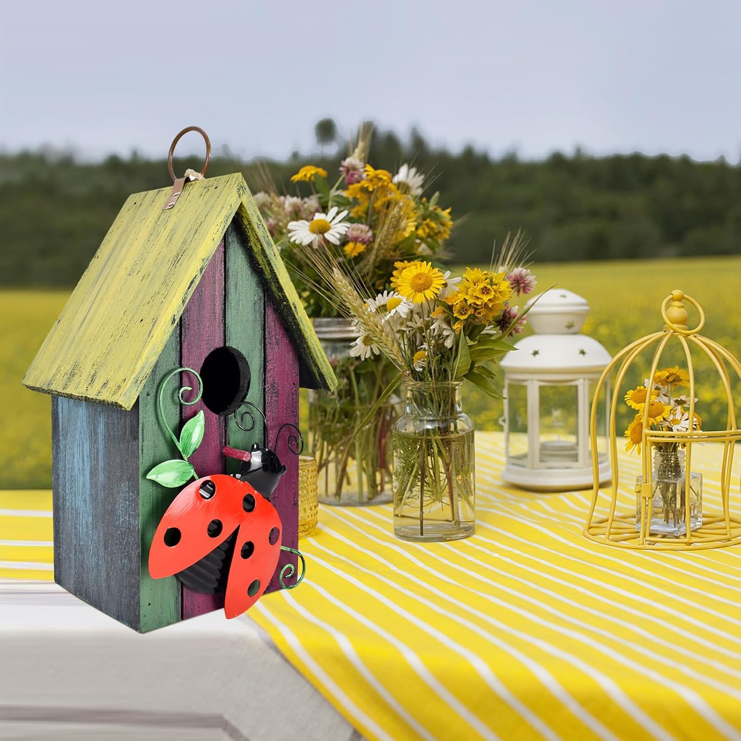 Wooden Decorative Birdhouse Hanging Bird House Hand Painted Birds Box Outdoor Garden Decor Bird Feeder for Finch Hummingbird Cardinals Bluebirds Sparrows Chickadees (Ladybug)