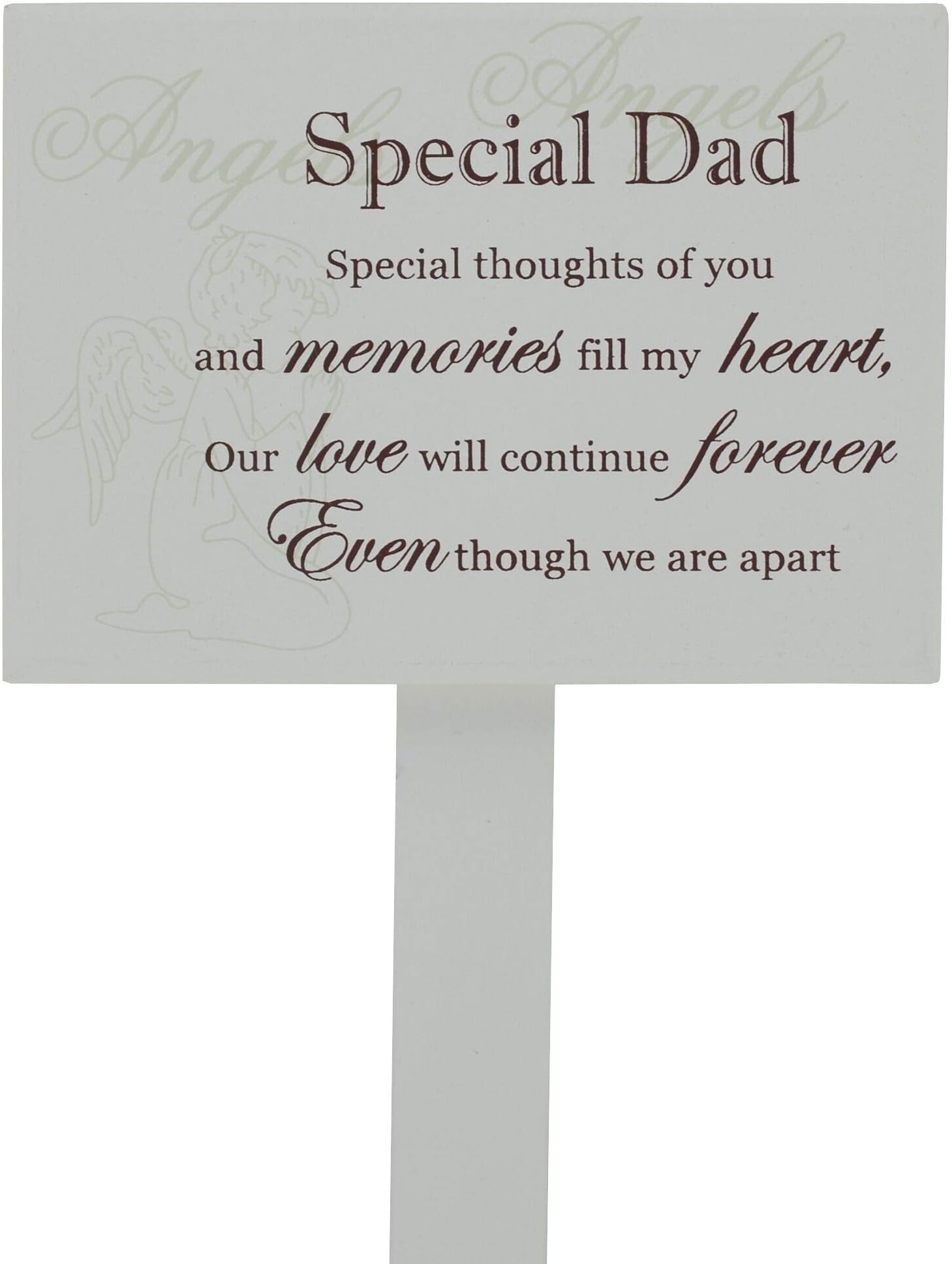 Graveside Memorial Plaque Grave Ornament Special Dad PLN