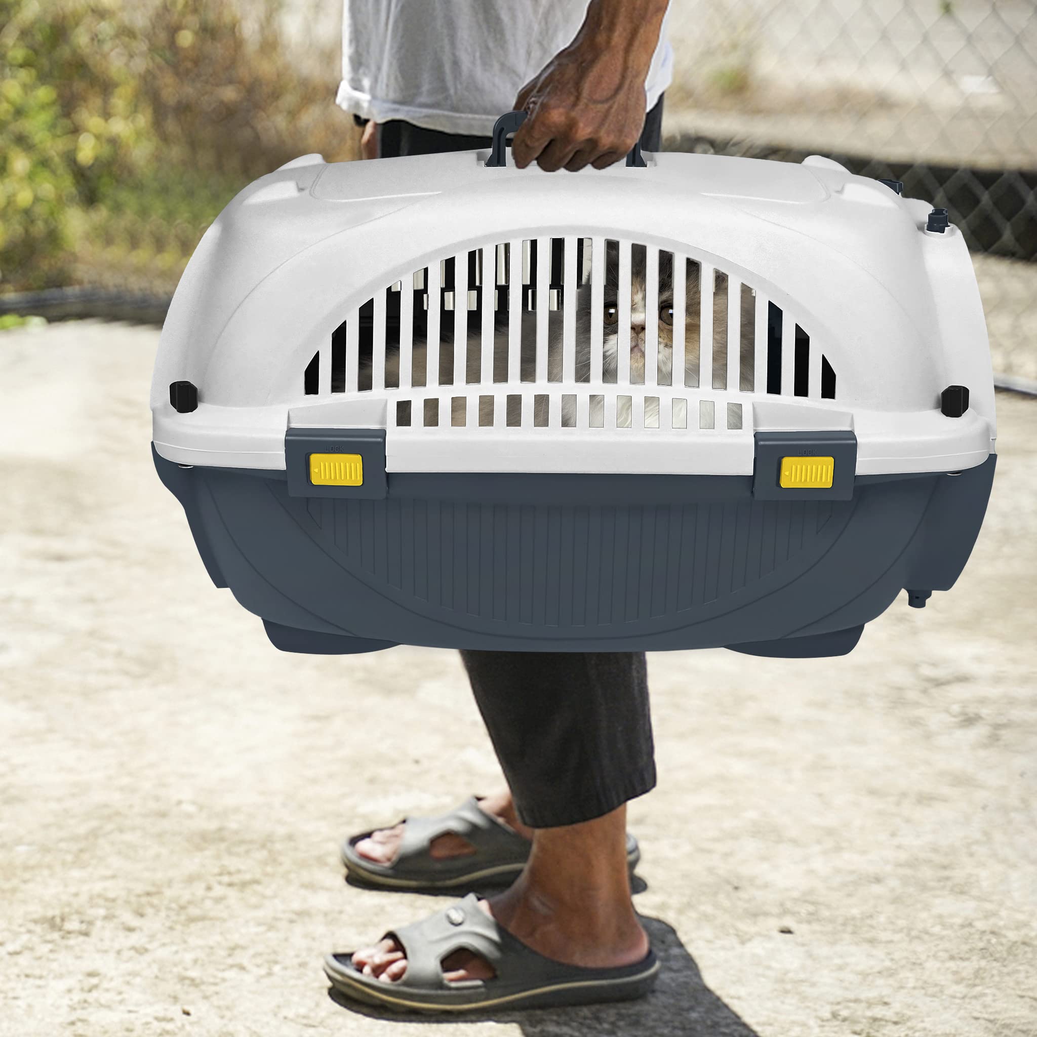 Aufun Cage de transport pour animaux de compagnie pour petits chiens et chats en plastique, 61 x 37 x 37 cm, boîte de transport pour chien, peut supporter jusqu'à 10 kg, porte avant, coussin et