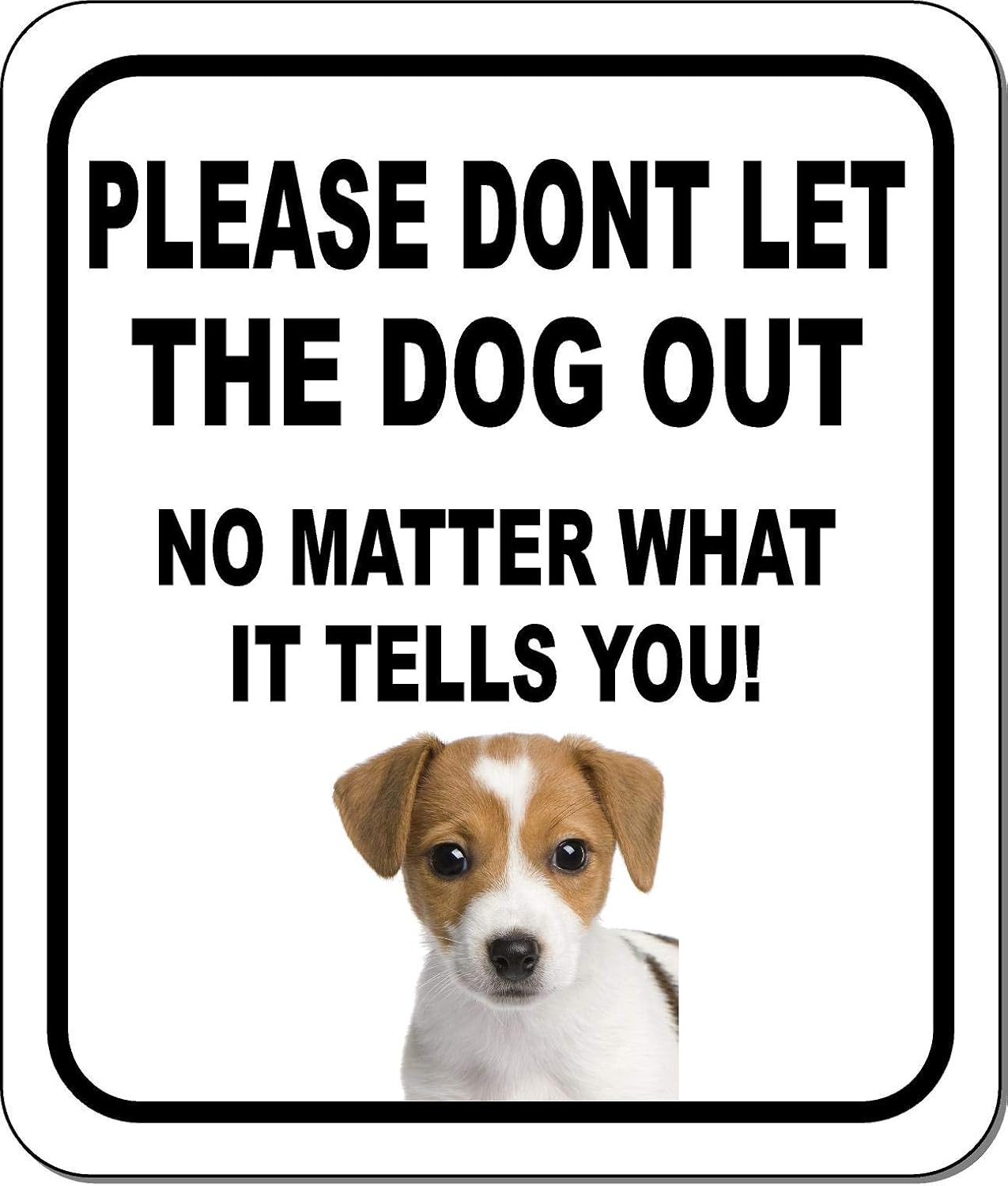 PLEASE DONT LET THE DOG OUT NO MATTER WHAT Russell Terrier Aluminum Composite Outdoor Sign 20" x24"