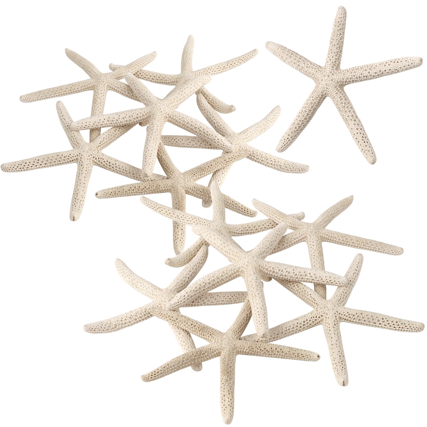 PPCLION 12 PCS Natural Finger Starfish 3-4" for Crafts Making Beach Theme Party Wedding Decoration, Home Wall Decor, Christmas Ornaments