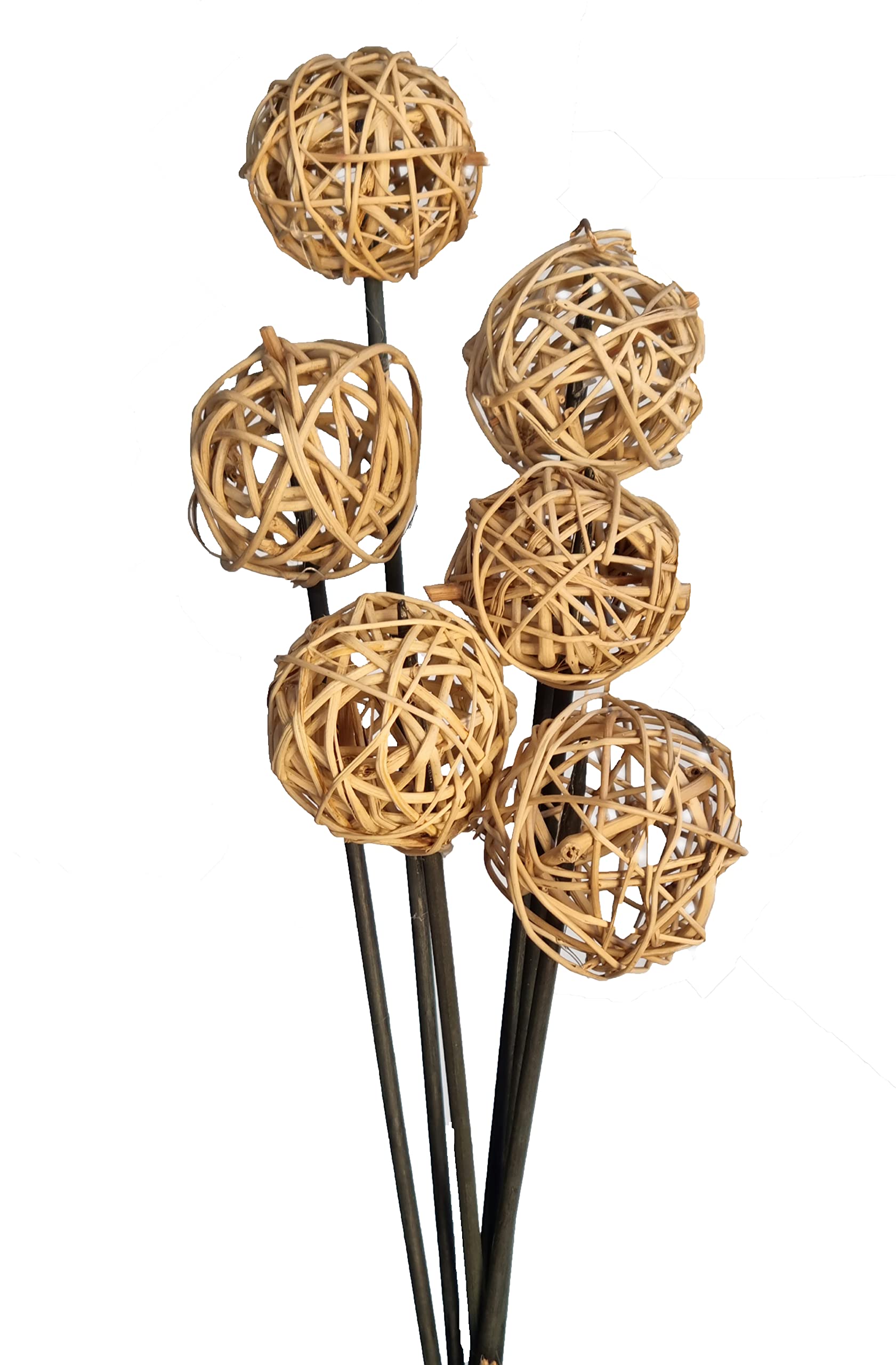 Homestreet Brown Brunch Ball Exotic Wooden Flower Bunch In Natural 6 Stems 43Cm