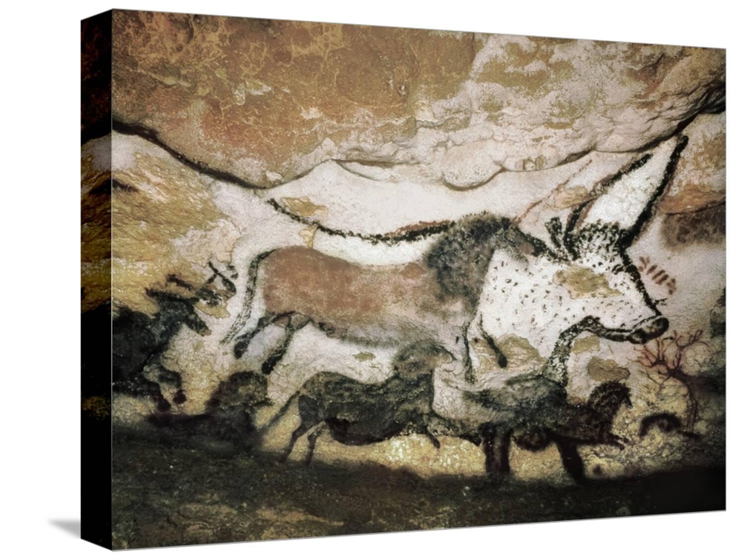 Art.com Stretched Canvas Print The Cave of Lascaux, 16" x 12"