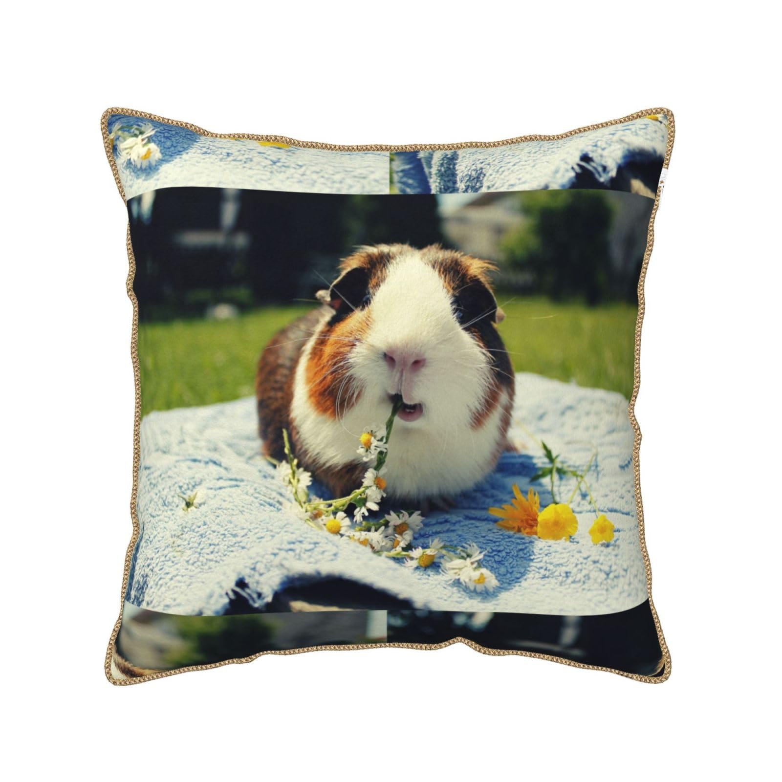 Housse de coussin cochon d'Inde velours doux déco chambre salon taie oreiller imprimée