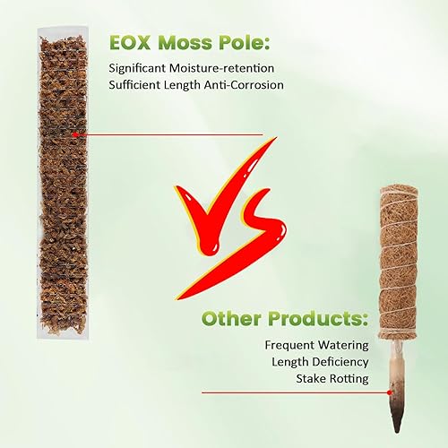 Miniatura 5 de EOX Paquete de 6 postes de musgo de plástico de 24 pulgadas x 2 + 36 x 2 + 48 pulgadas x 2 para Monstera, postes grandes en forma de D para plantas