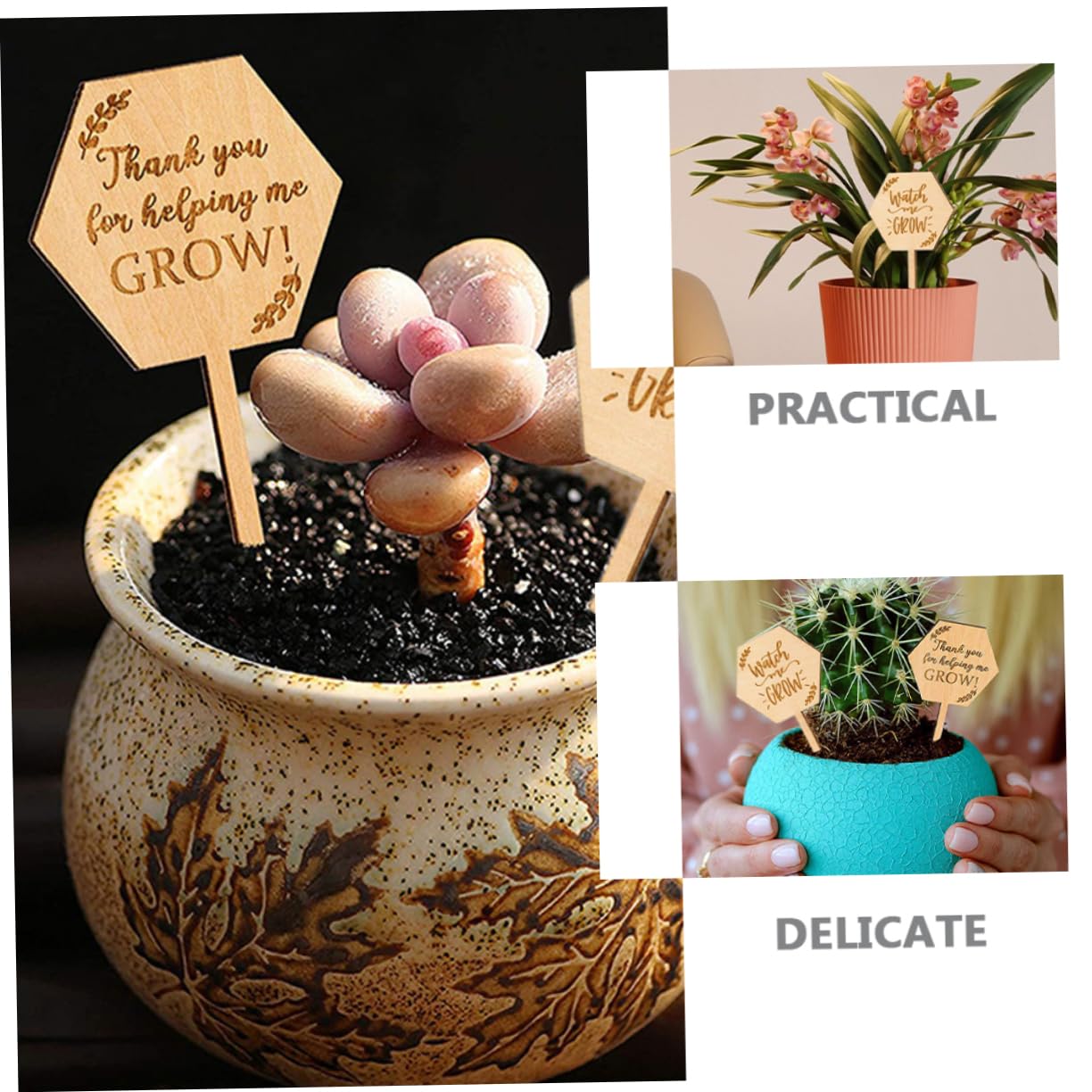 HEMOTON 4 Ensembles Étiquette En Bois Étiquettes De Plantes De Jardin Marqueurs De Plantes De Jardin Ornements D'étiquette De Pelouse Accessoire De Plante 40 Pièces * 4