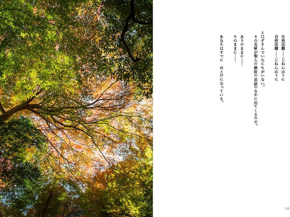 こころの風景 | 山折 哲雄, 太田 順一, 太田 順一 |本 | 通販 | Amazon こころの風景 | 山折 哲雄, 太田 順一, 太田 順一 |本 | 通販 | Amazon