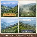 SAN-CHA Tea Boutique | India Expedition Collection | Premium Loose Leaf Tea Gift Box | Assam, Darjeeling, Nilgiri & Kangra | Since 1981 gallery image