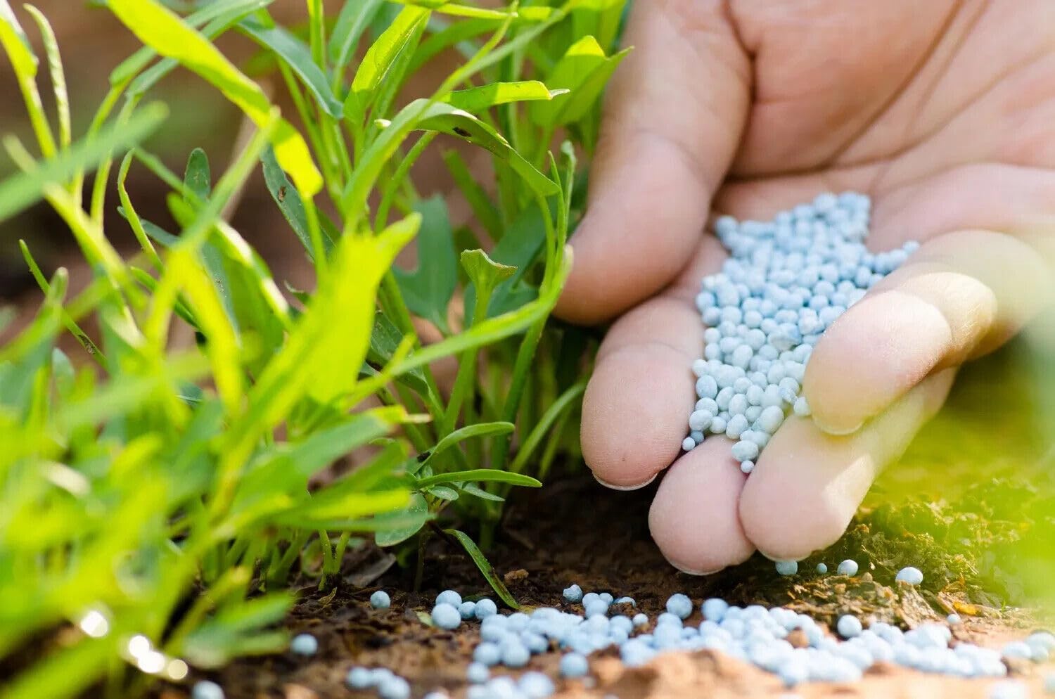 YaraMila Complex Blaudünger 25kg | Hochwertiger Dünger für Rasen, Gemüse, Blumen & Zierpflanzen | Chlorfrei & Reich an Mikronährstoffen | Ideal für Gartenbau und Gewächshaus