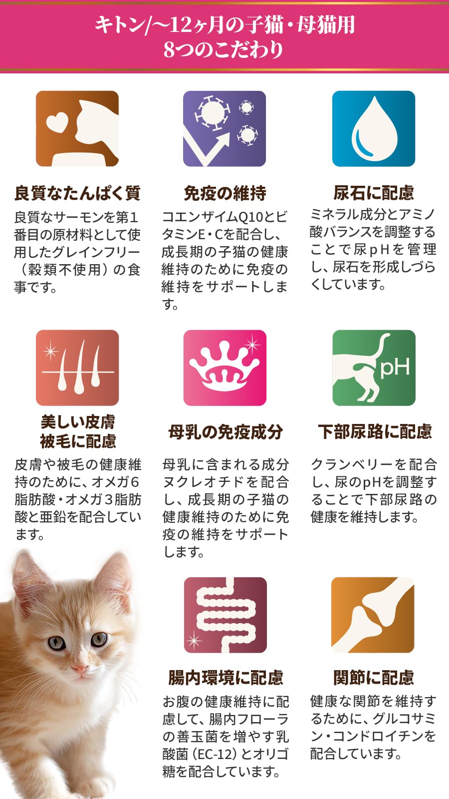 Amazon.co.jp: セレクトバランス グレインフリー キャット キトン 贅沢