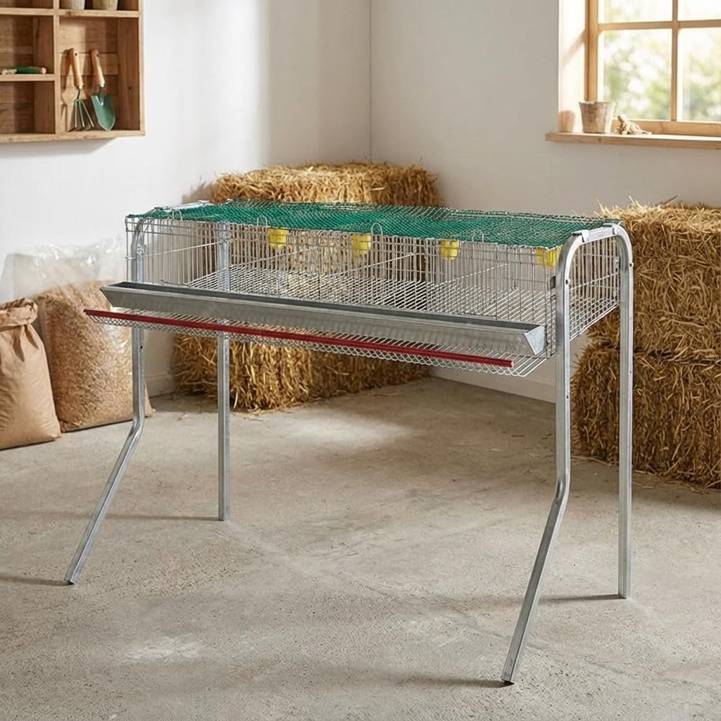 Suinga Jaula BATERIA CODORNICES con 4 departamentos para Pajaros -Comedero Frontal y bebederos automáticos, 105x47x90 cm