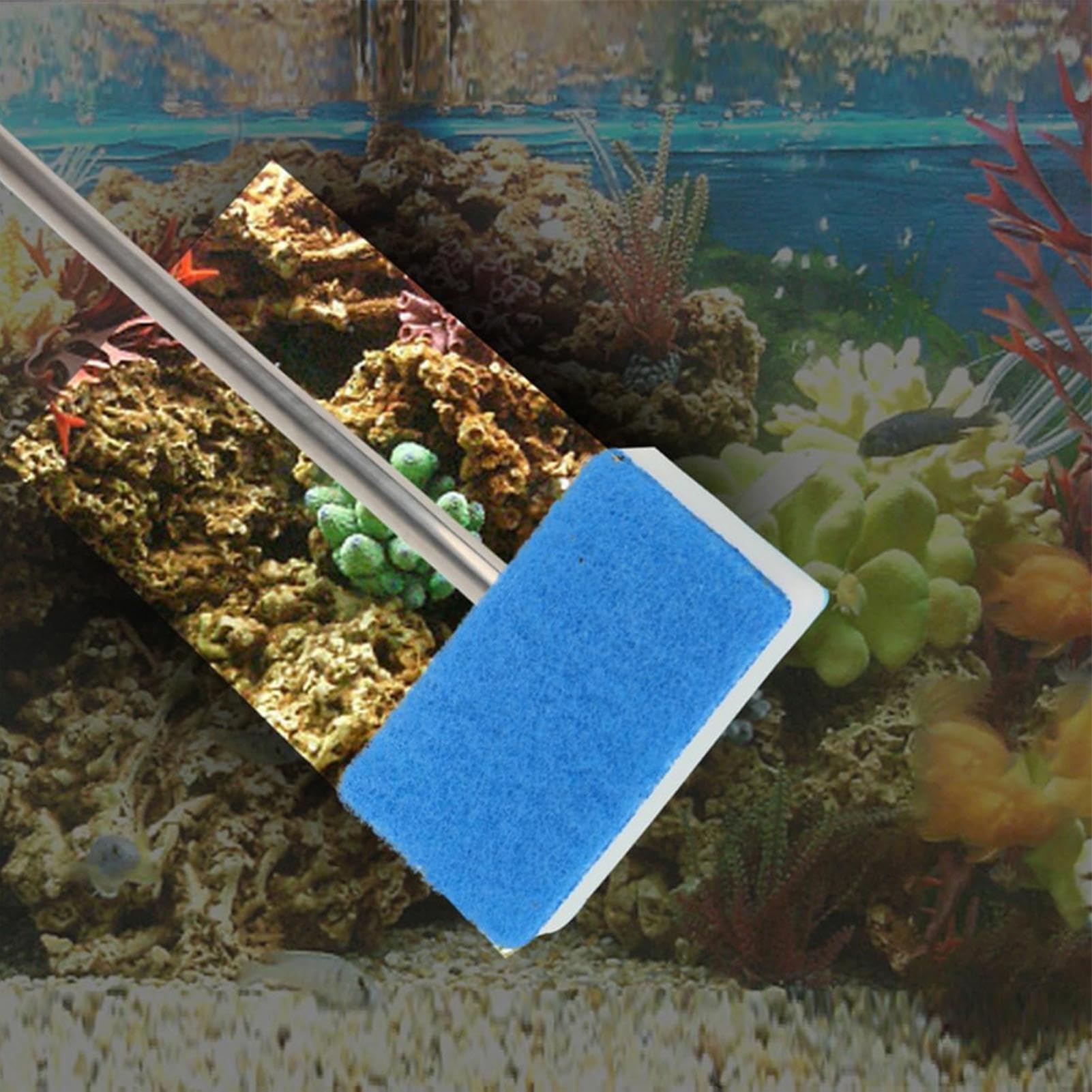 Spazzola per pulizia acquario Raschietto per Alghe con Manico Regolabile