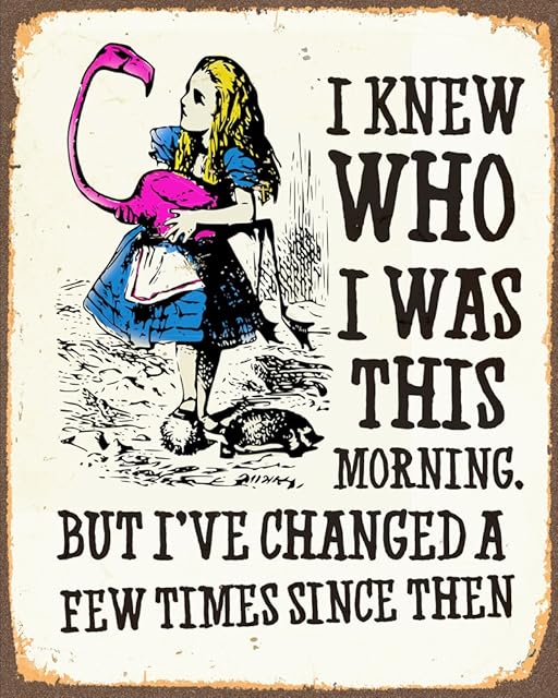 Alice in Wonderland I've Changed Metal Sign 6x8inches Plaque Vintage Retro Poster Art Picture Print TN1033