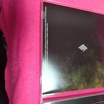 Amazon.co.jp: 『エースコンバット アサルト・ホライゾン』（ACE