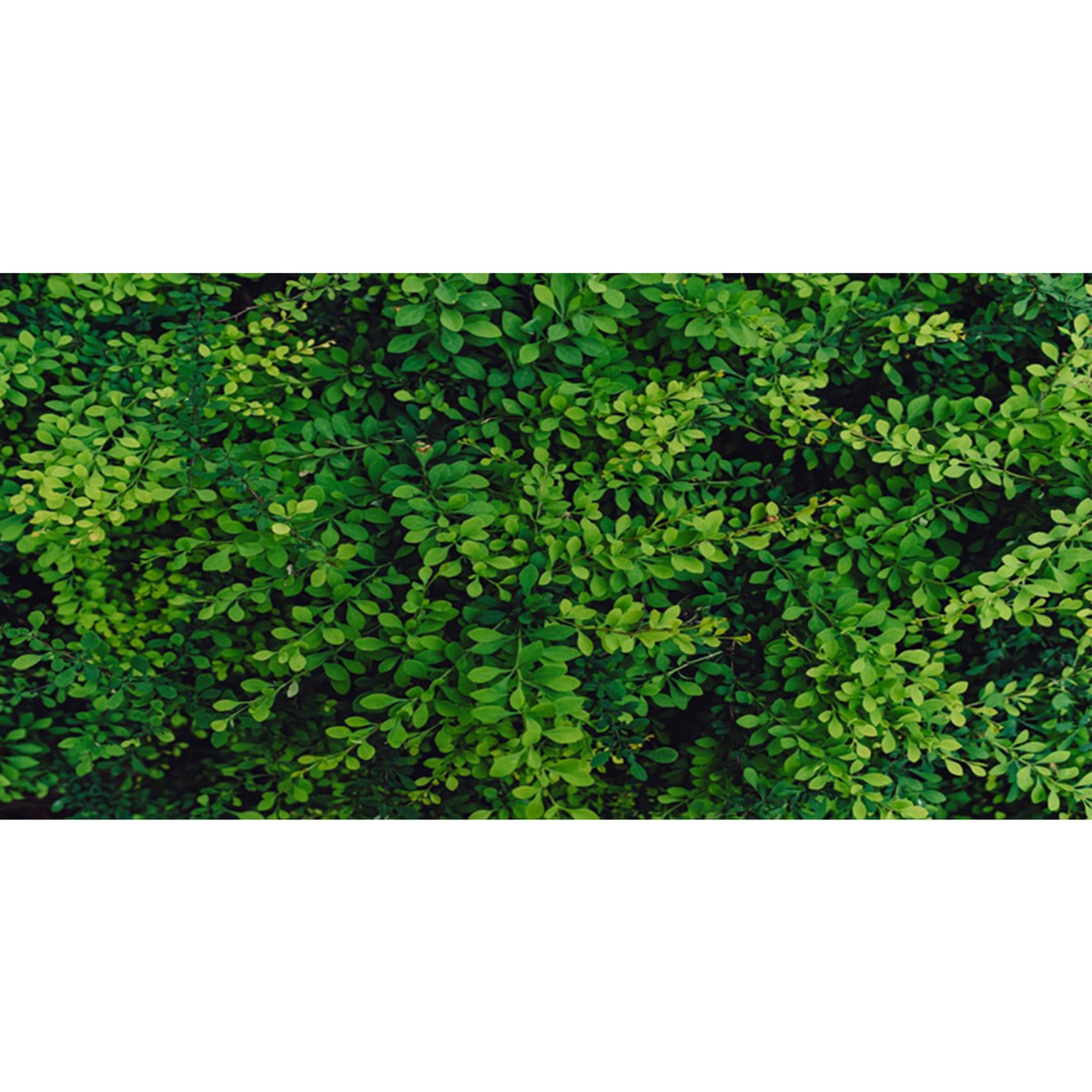 MIRRORANG 180x46cm Lush Green Foliage Reptile Terrarium Aquarium Background Dense Natural Leaves Fish Tank Background Bearded Dragon Vivarium Background Vinyl
