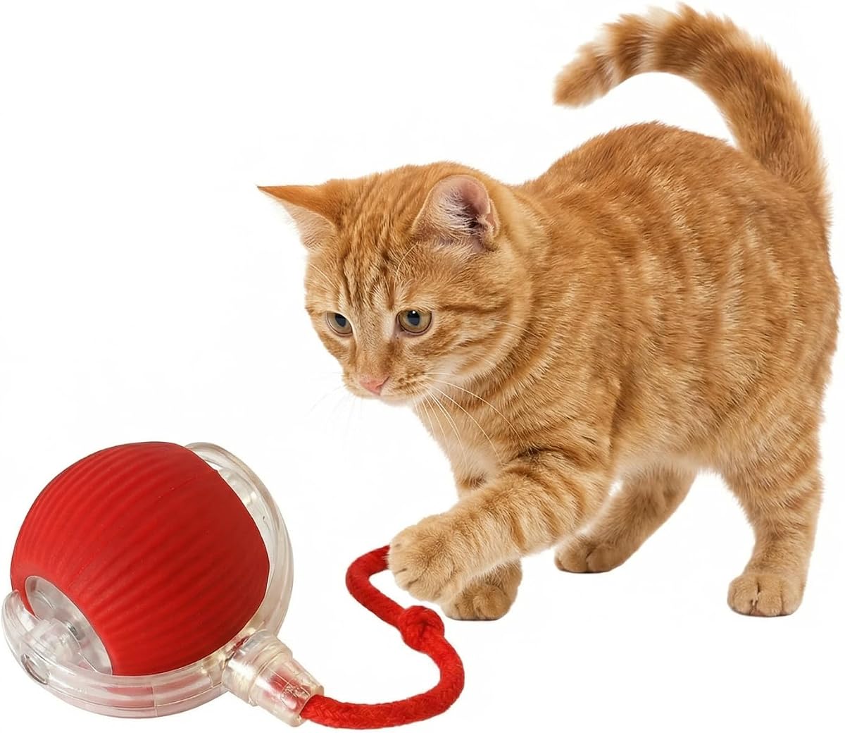 Bola interactiva del juguete del gato del perro, movimiento rodante automático eléctrico | Juguetes para gatos y gatitos recargables por USB, movimiento autoactivado con cuerda de cola rápida
