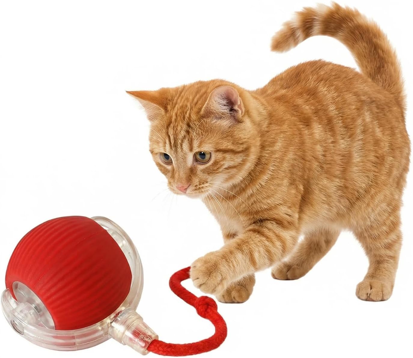 Interactive Dog Cat Toy Ball, Electric Automatic Rolling Moving