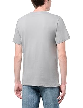 gap MEN'S COLLECTIONS 大型版 GAP Mens 2-Pack Classic Logo Tee T-Shirt Blue Multi Logo XS