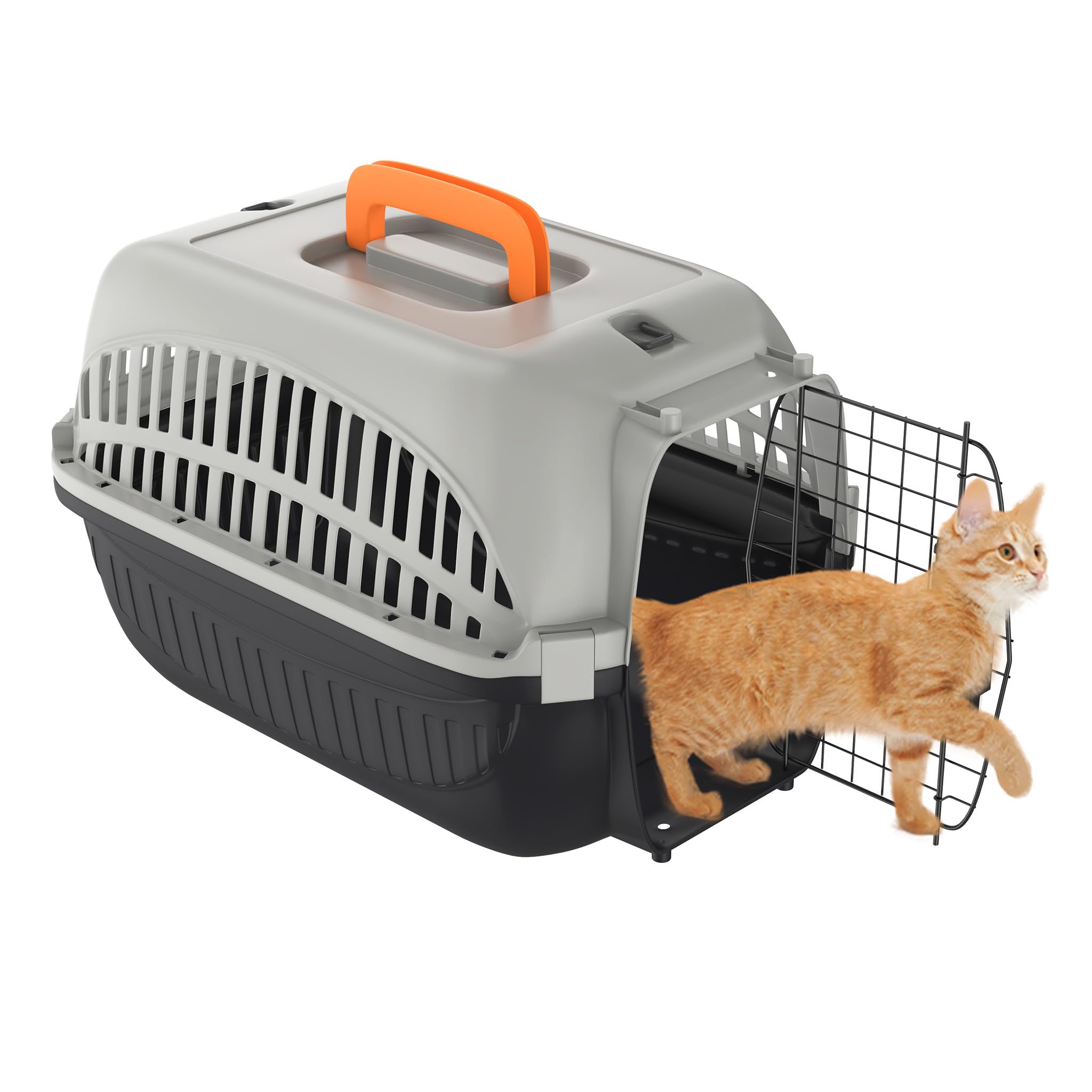 NAIZY Trasportino per cani e gatti, 48 x 32 x 32 cm, in plastica PP, con porta in ferro e prese d'aria, max. fino a 10 kg