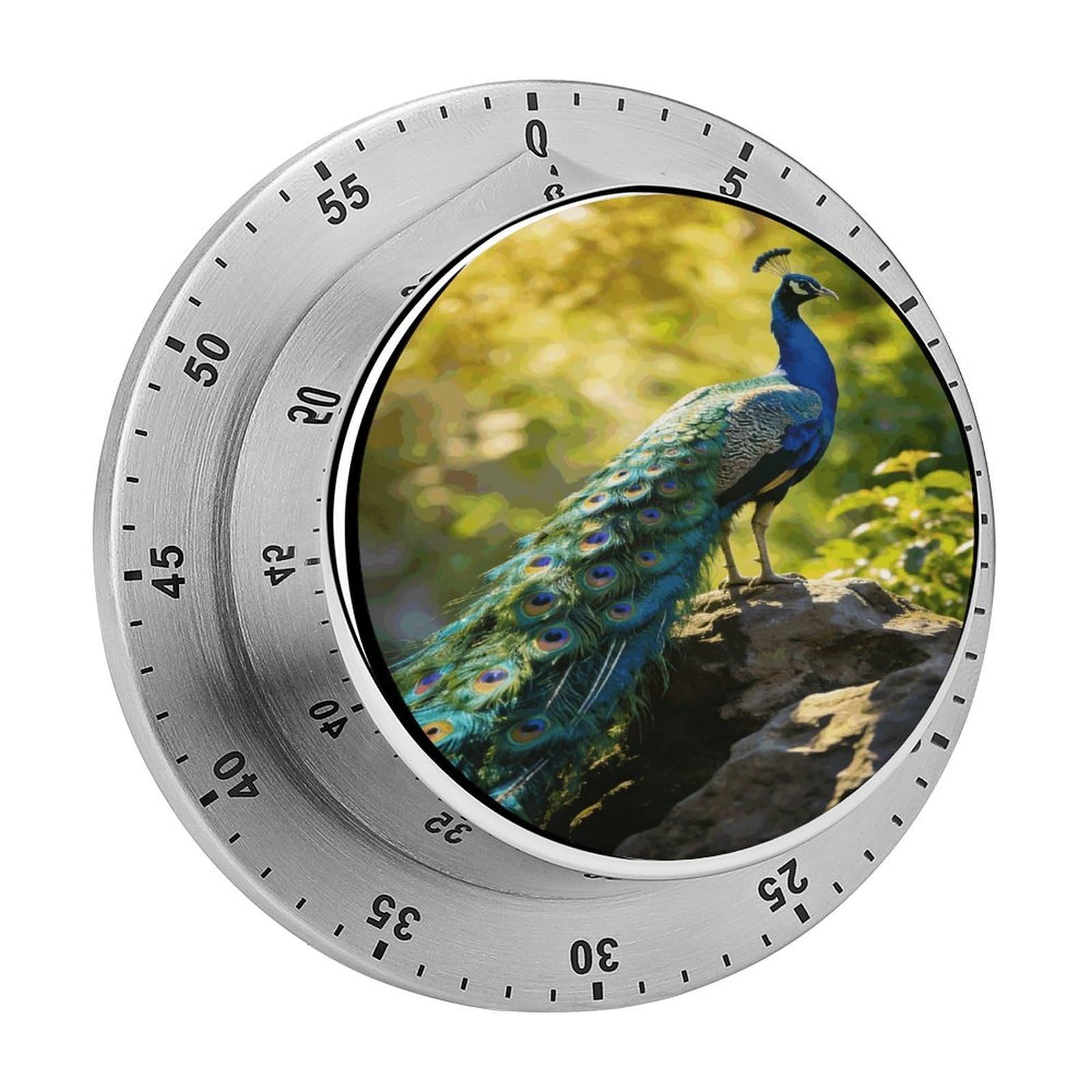 Beautiful Peacock Timer Exquisite Stainless Steel Body Desk Visual Timer with Loud Alarm 60-Minute Mechanical Countdown Timers Magnetic Backing Cooking Kitchen Timers for Work