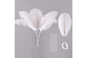 Ballinger Large White Ostrich Feathers