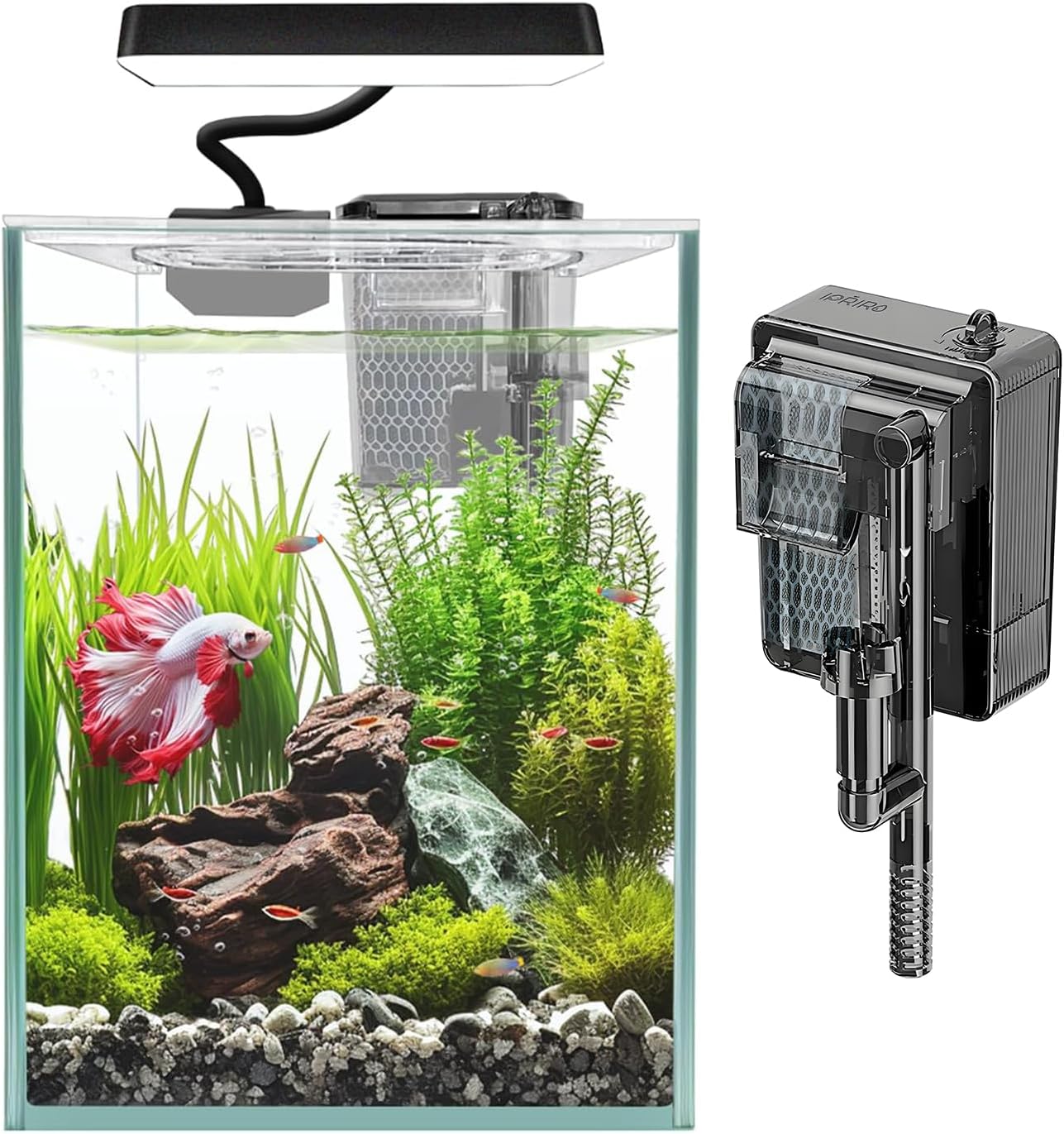 1.5 Gallon Fish Nano Glass Aquarium with Two Filters, White - Image 1 of 9